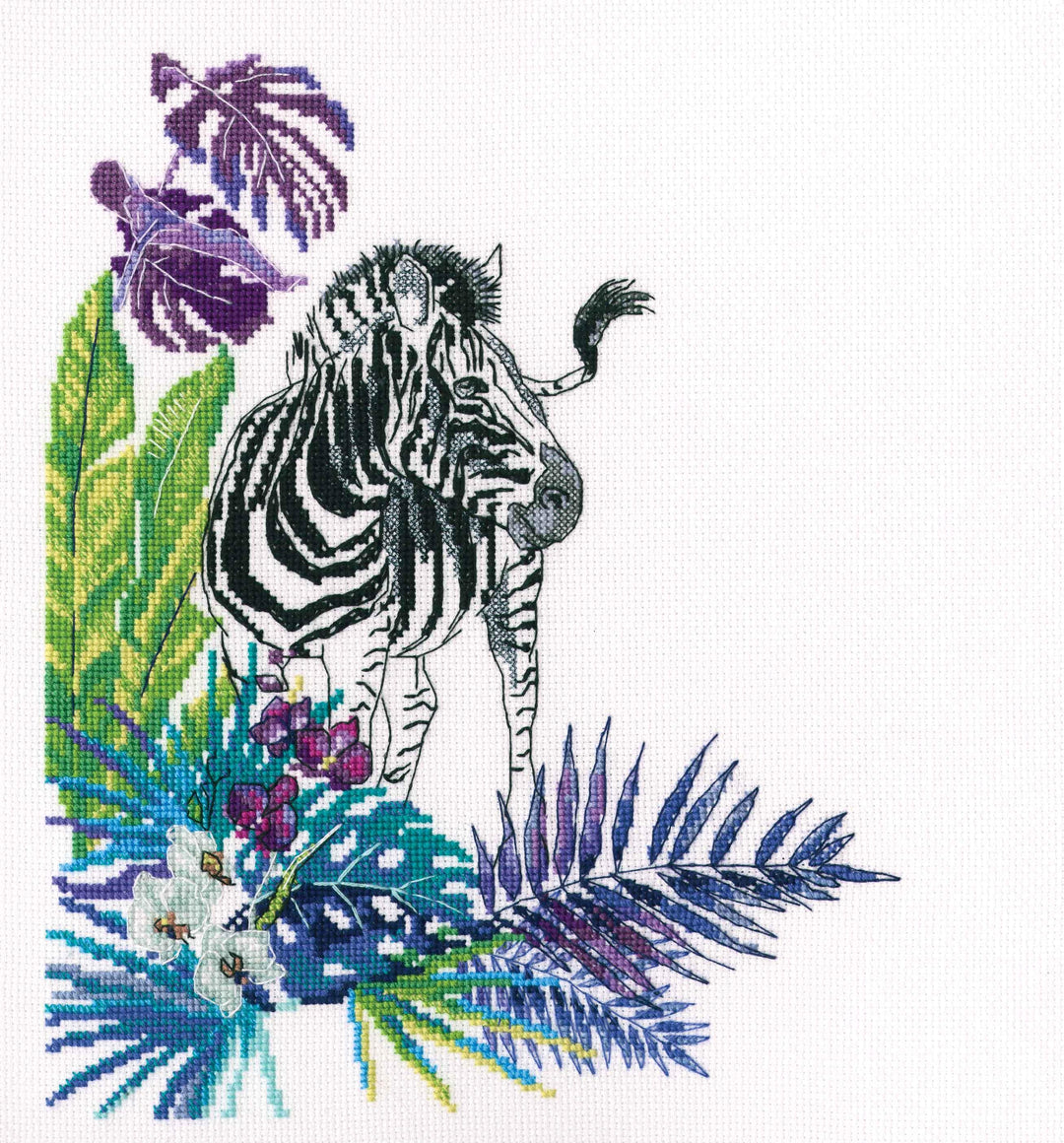 Zebra M743 Counted Cross Stitch Kit