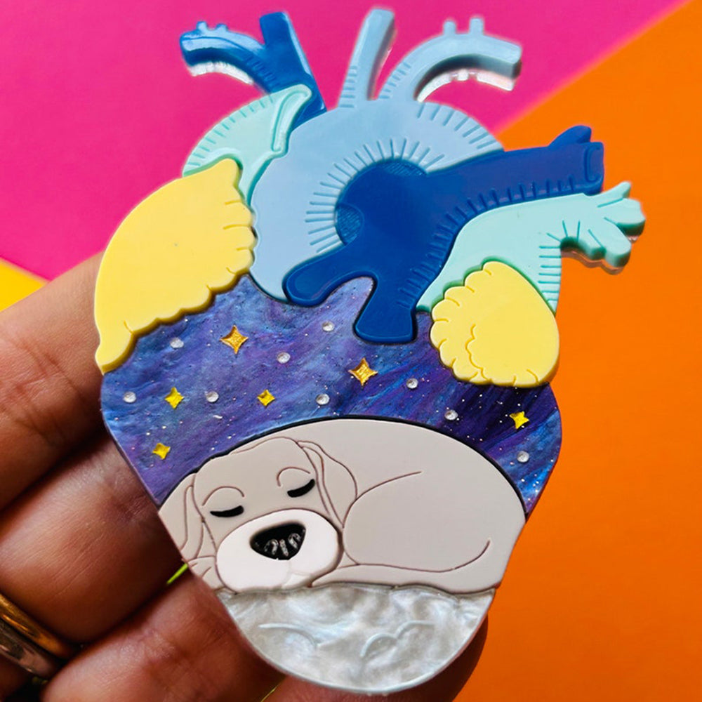 Anatomical Hearts Collection - "You Live Here" Cat & Dog Acrylic Brooch by Makokot Design