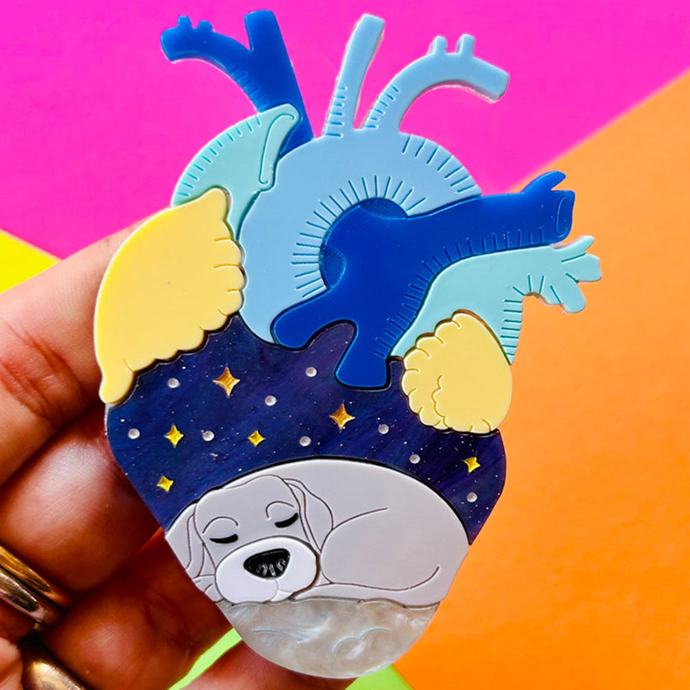 Anatomical Hearts Collection - "You Live Here" Cat & Dog Acrylic Brooch by Makokot Design