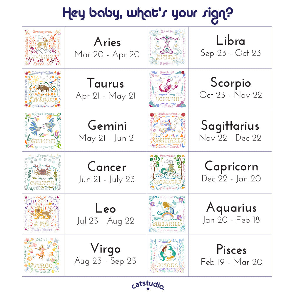 Aquarius Astrology Hand-Embroidered Pillow by Cat Studio