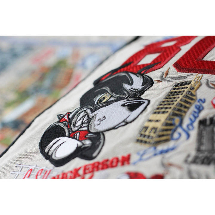 Boston University Collegiate Embroidered Pillow by CatStudio