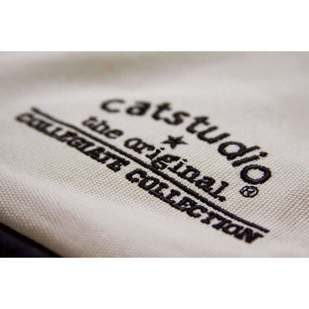 Washington, University of Collegiate Embroidered Pillow by CatStudio